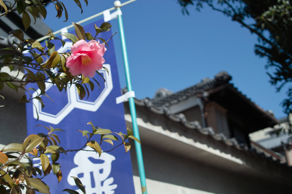 花と瓦＠川越