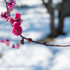 20140216_05