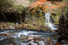 佐野　蓬莱山の紅葉