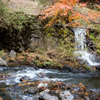佐野　蓬莱山の紅葉