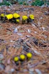 20150207_1