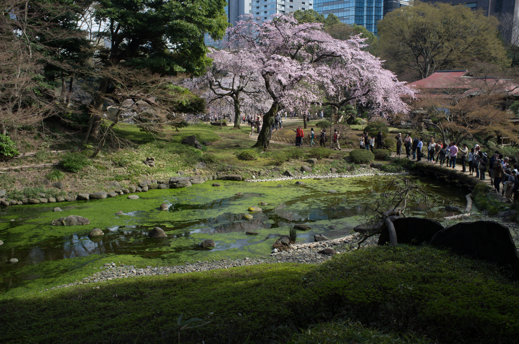 20140329