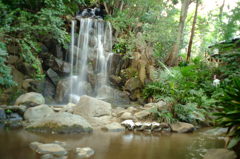 名主の滝公園