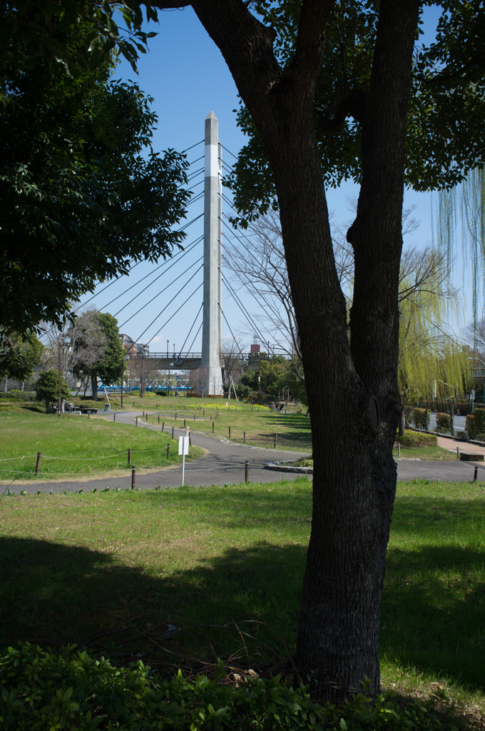 大きな橋を望む