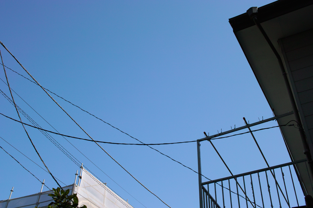 DP2_カスタマイズ