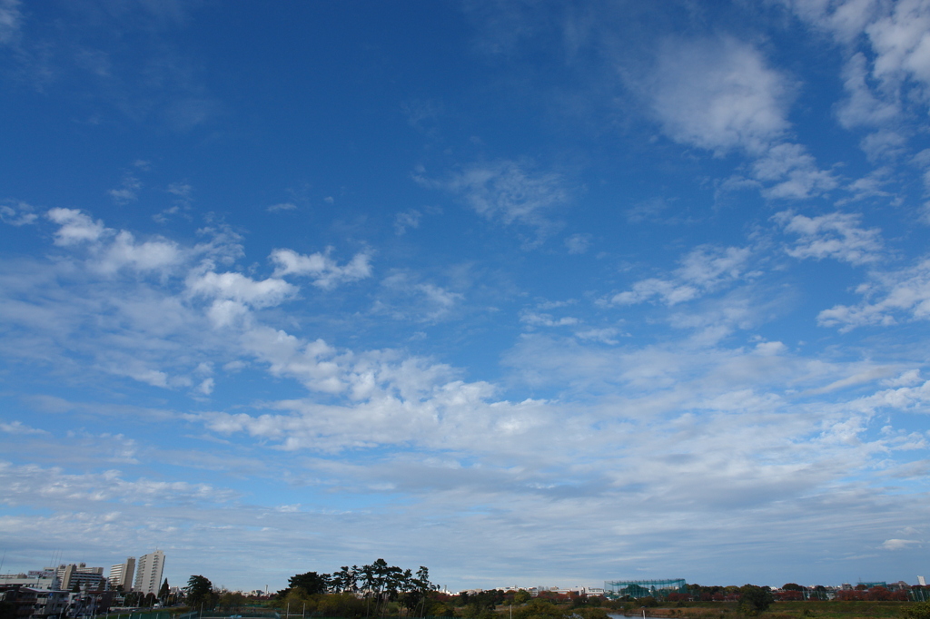 描かれた空