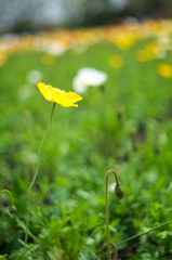 20150412_5