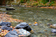 佐野　蓬莱山の紅葉