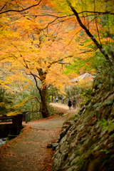 佐野　蓬莱山の紅葉