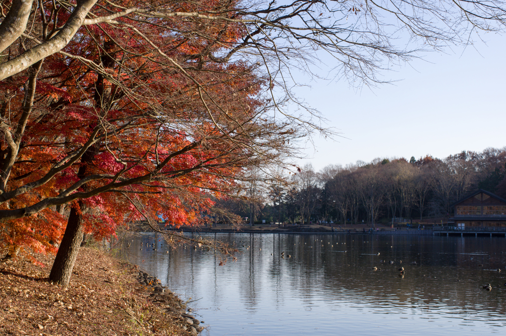 公園にて