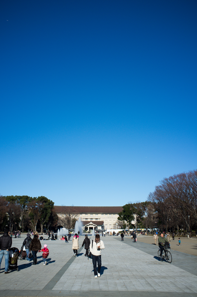 冬空