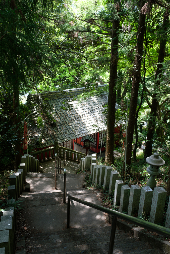 唐澤山神社