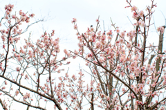 20150207_2