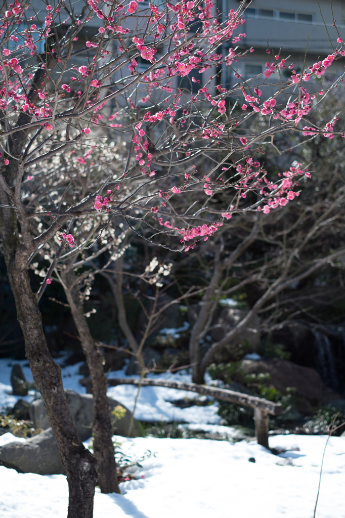 20140216_02