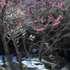 20140216_02