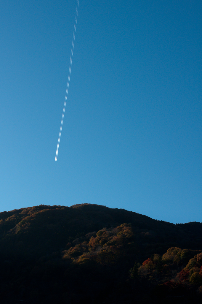 シロク切り裂く