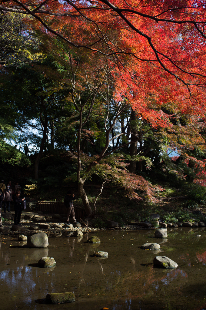 小石川後楽園　2013