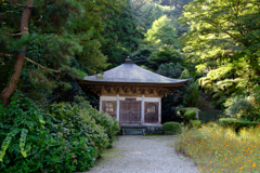雲巌寺にて