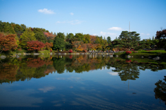 庭園の紅葉