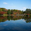 庭園の紅葉