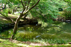 20150725_4