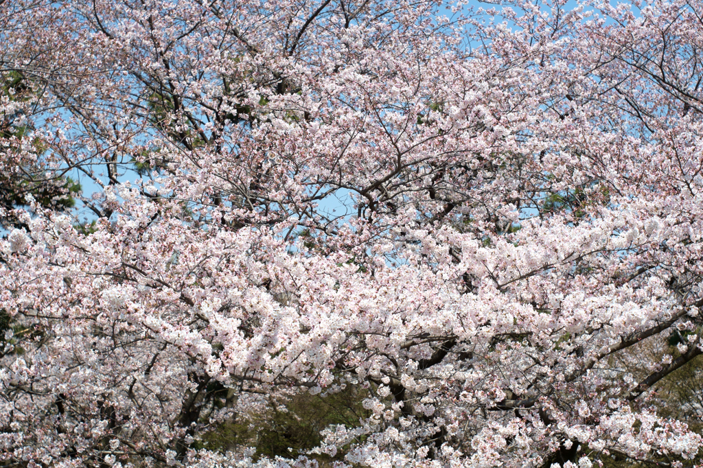 20150330_1