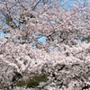 20150330_1
