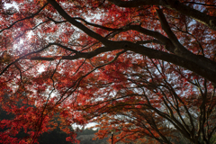 佐久山御殿山公園