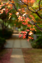 20141124_1