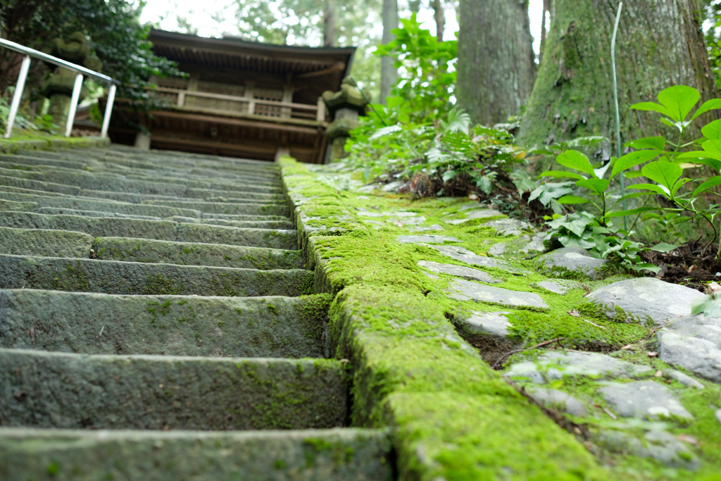 鷲子山上神社にて