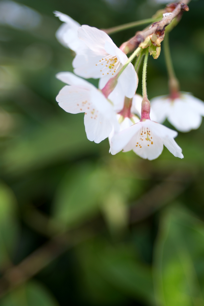 20150330_4