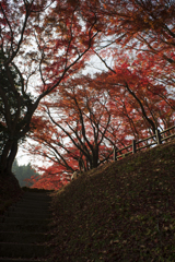 佐久山御殿山公園