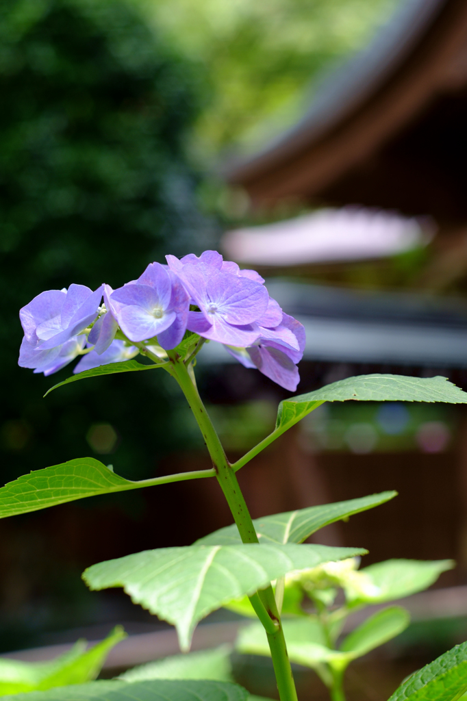 20150607_3