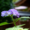20150607_3