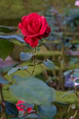 20141020_8