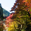 大芦渓谷と紅葉
