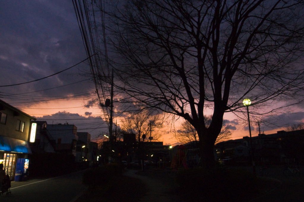 明日はまた雨か