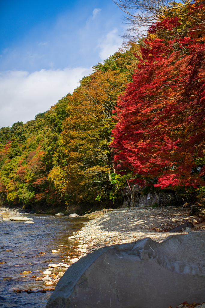 紅の吊り橋にて