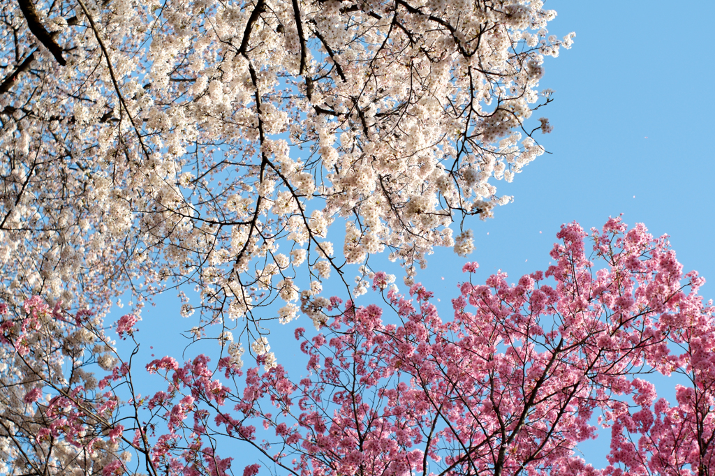 20150330_3