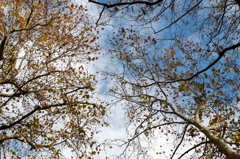 20141130_4