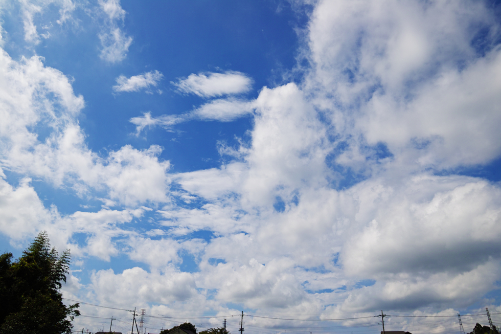 いろんな雲だねえ