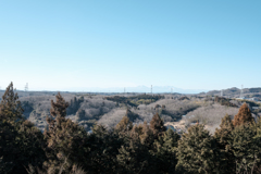 ひんやりとした景色