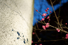 20150131_2