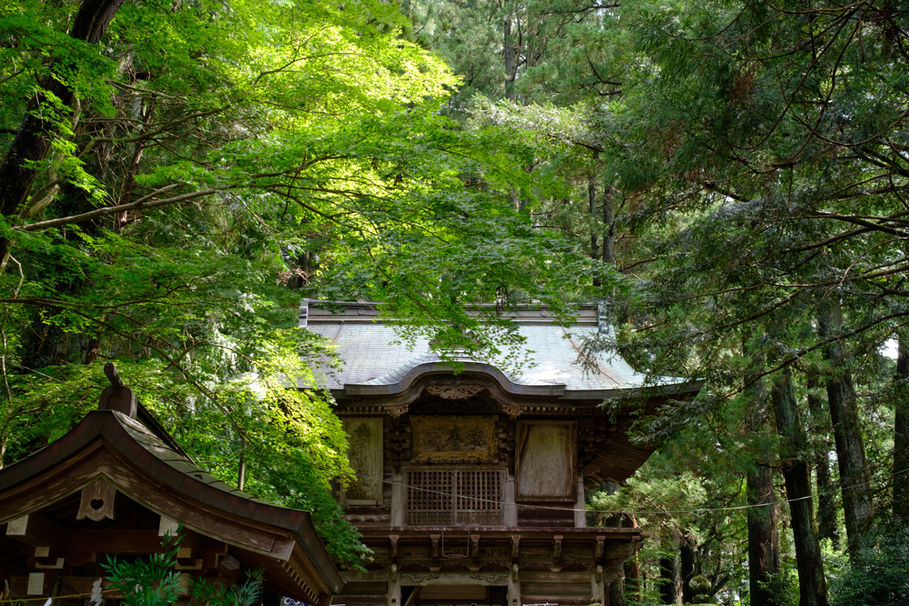 鷲子山上神社にて