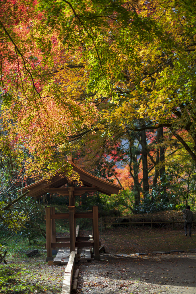 観光お断り雲厳寺