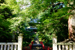 雲厳寺にて