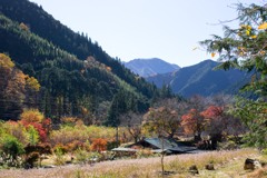 山間の紅葉