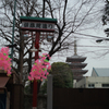塔