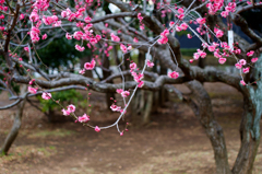 20150207_3