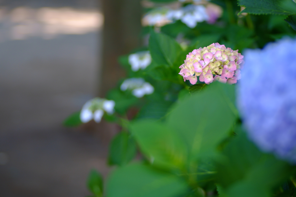 20150530